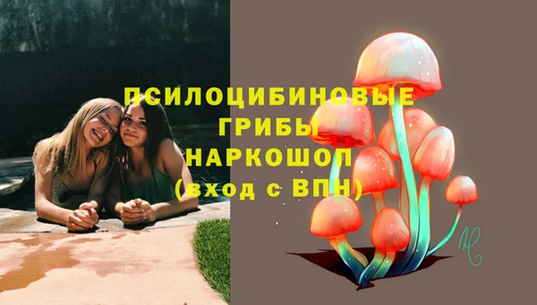 спиды Алексин