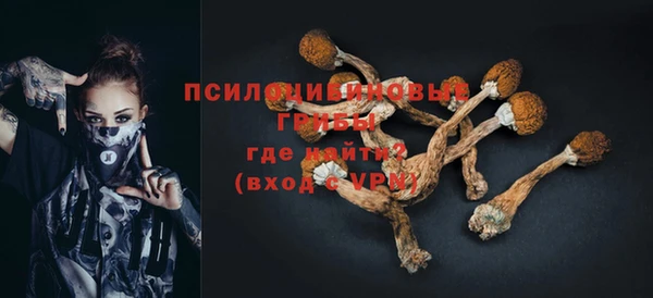 jwh Алзамай