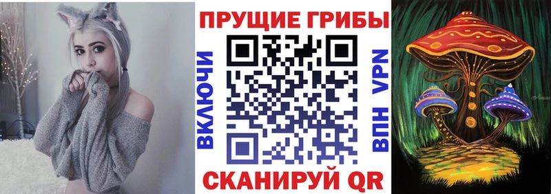 Псилоцибиновые грибы Psilocybine cubensis  где найти   Кизел 